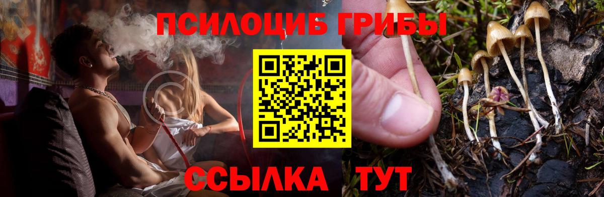 Галлюциногенные грибы мицелий  Вход с VPN  Псилоцибиновые грибы мицелий  Луга 
